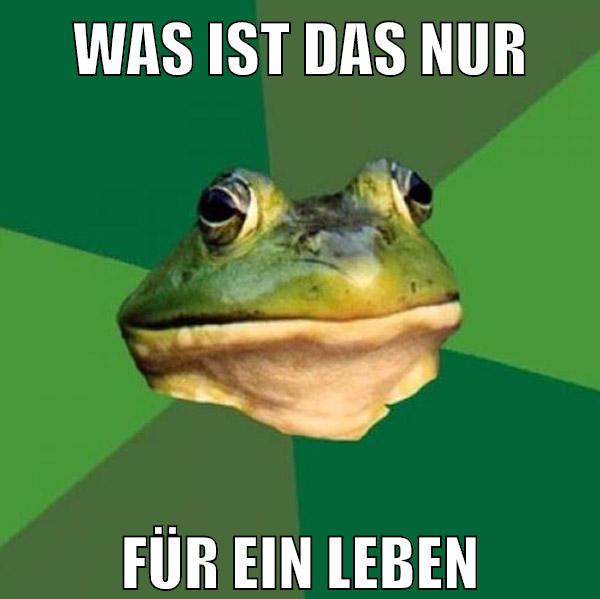 was ist das nur für ein leben