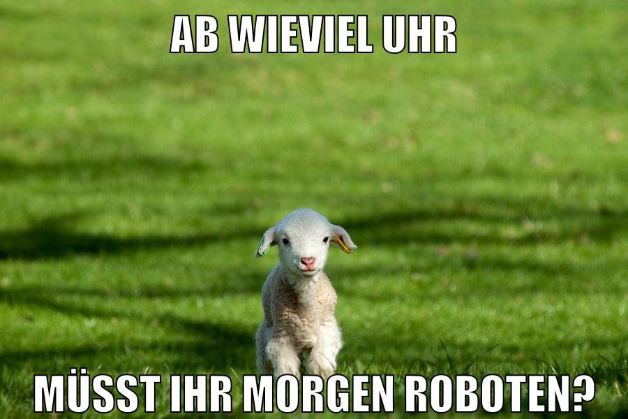 ab wieviel uhr müsst ihr morgen roboten?