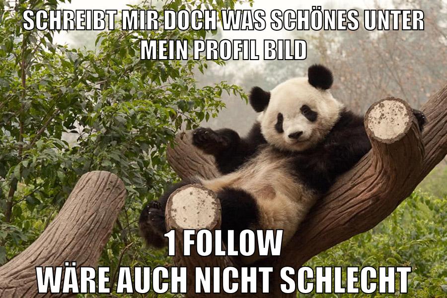schreibt mir doch was schönes unter mein profil bild 1 follow wäre auch nicht schlecht