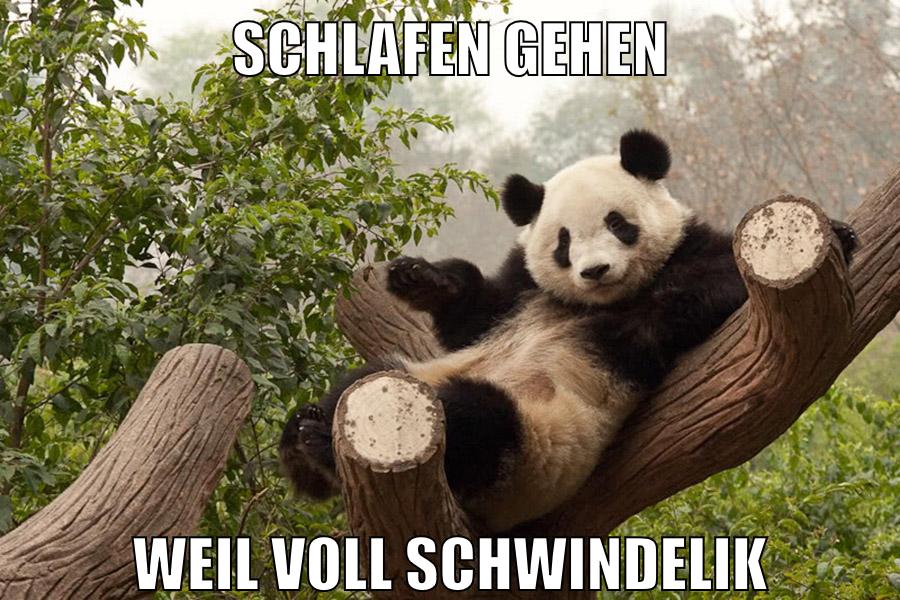 schlafen gehen weil voll schwindelik