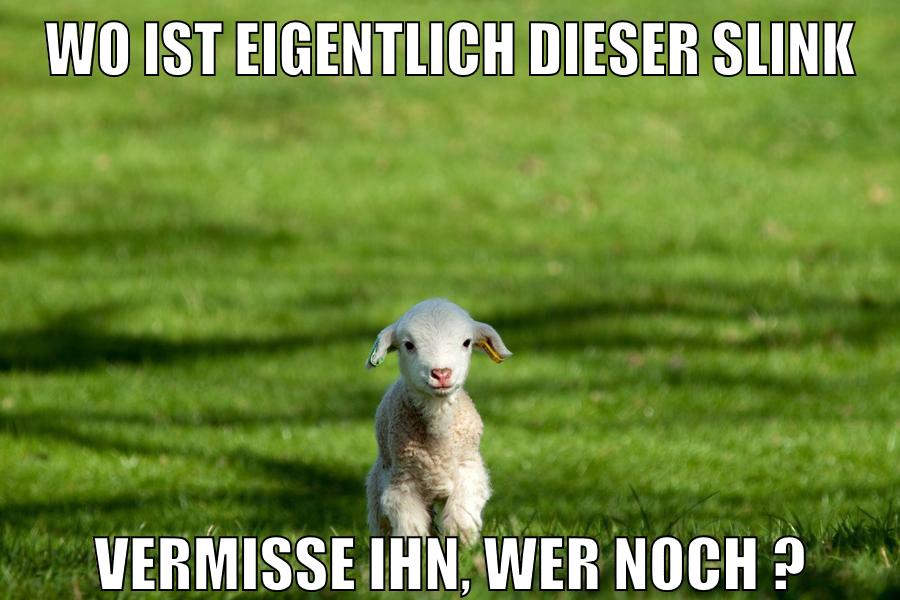 wo ist eigentlich dieser slink vermisse ihn, wer noch ?