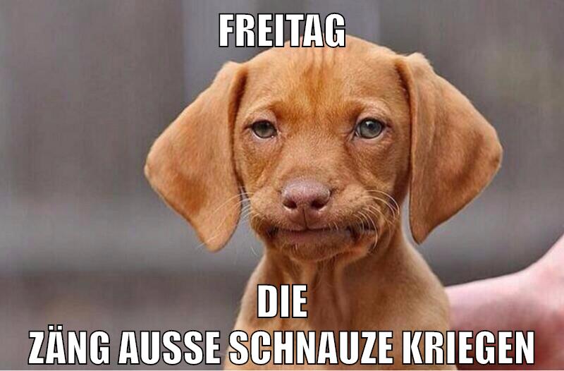 freitag die zäng ausse schnauze kriegen