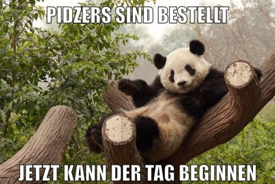 pidzers sind bestellt jetzt kann der tag beginnen