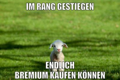 im rang gestiegen endlich bremium kaufen können