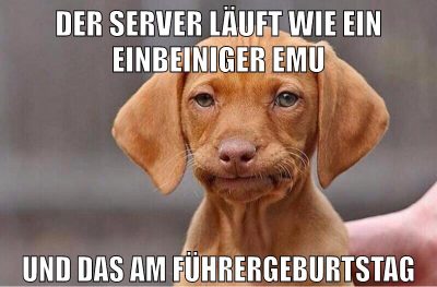 der server läuft wie ein einbeiniger emu und das am führergeburtstag