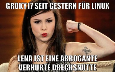 groky17 seit gestern für linux lena ist eine arrogante verhurte drecksnutte