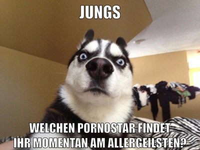 jungs welchen pornostar findet ihr momentan am allergeilsten?