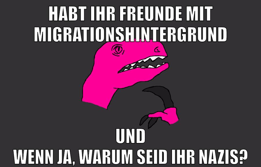 HABT IHR FREUNDE MIT MIGRATIONSHINTERGRUND UND WENN JA, WARUM SEID IHR NAZIS?