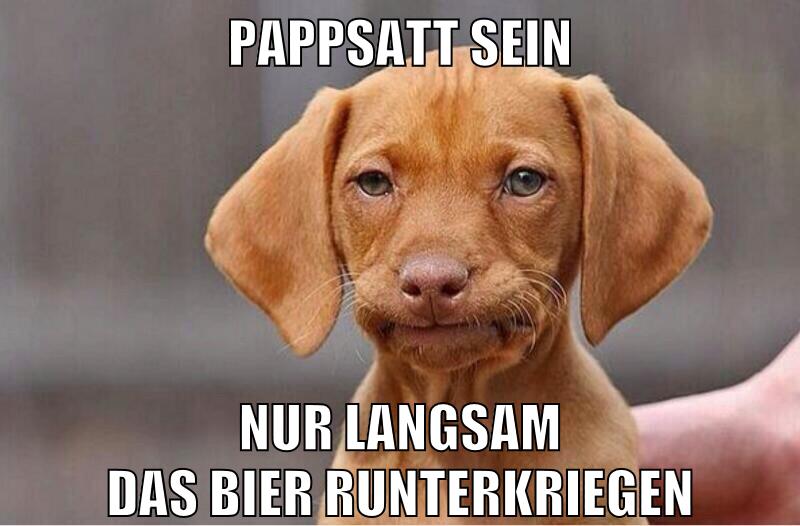 pappsatt sein nur langsam das bier runterkriegen