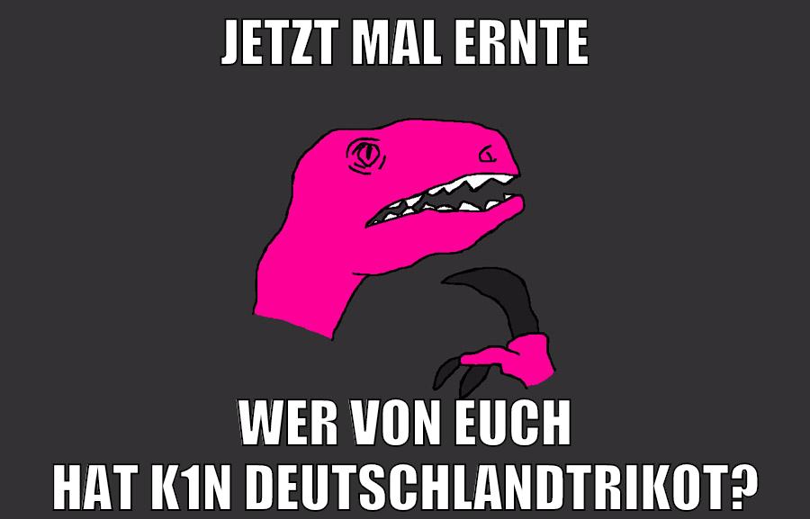 jetzt mal ernte wer von euch hat k1n deutschlandtrikot?