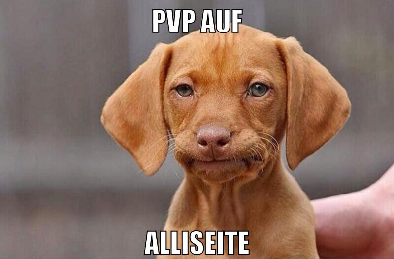 pvp auf alliseite