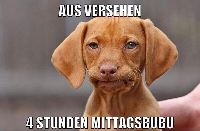 aus versehen 4 stunden mittagsbubu