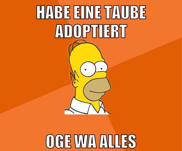 habe eine taube adoptiert oge wa alles