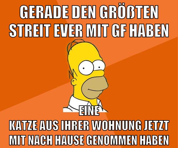 gerade den größten streit ever mit gf haben eine katze aus ihrer wohnung jetzt mit nach hause genommen haben