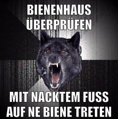 bienenhaus überprüfen mit nacktem fuß auf ne biene treten