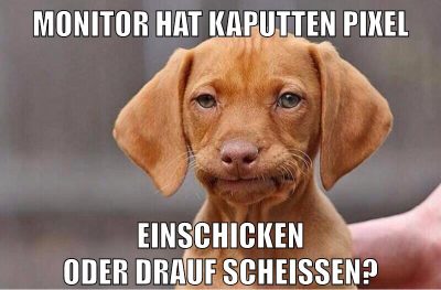 monitor hat kaputten pixel einschicken oder drauf scheißen?