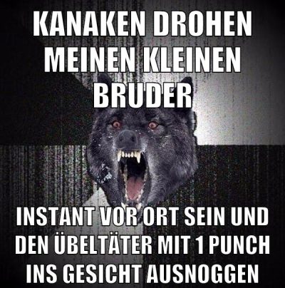 kanaken drohen meinen kleinen bruder instant vor ort sein und den übeltäter mit 1 punch ins gesicht ausnoggen