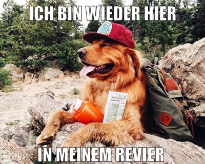 ich bin wieder hier in meinem revier
