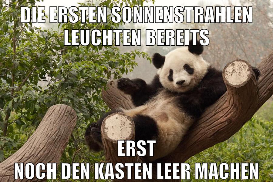 Die ersten Sonnenstrahlen leuchten bereits erst noch den kasten leer machen