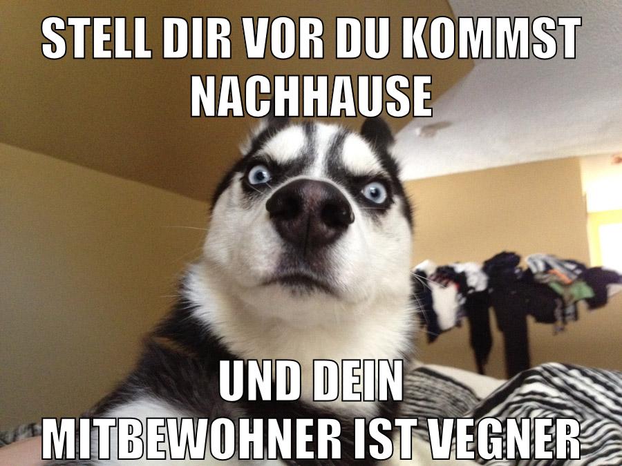 stell dir vor du kommst nachhause und dein mitbewohner ist vegner