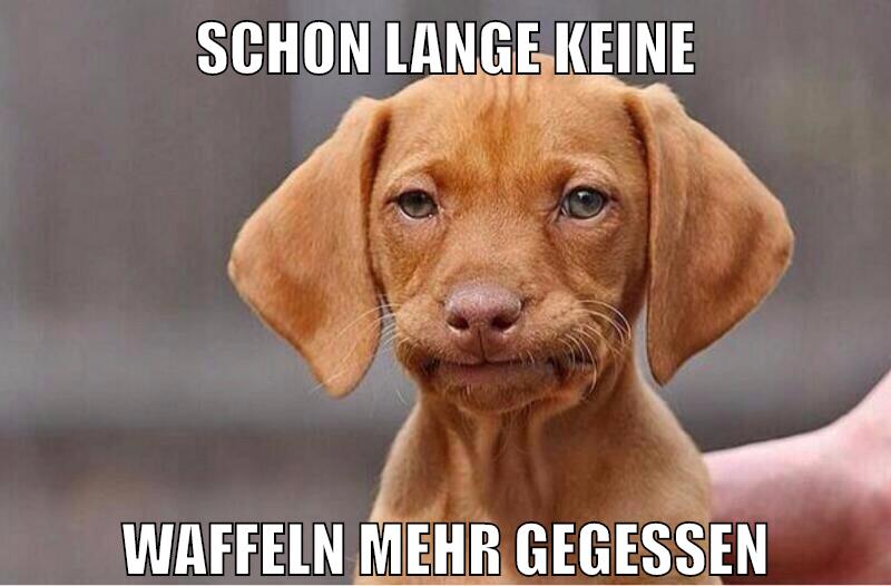 schon lange keine waffeln mehr gegessen