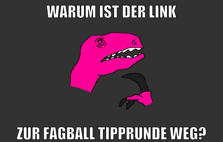 WARUM IST DER LINK ZUR FAGBALL TIPPRUNDE WEG?