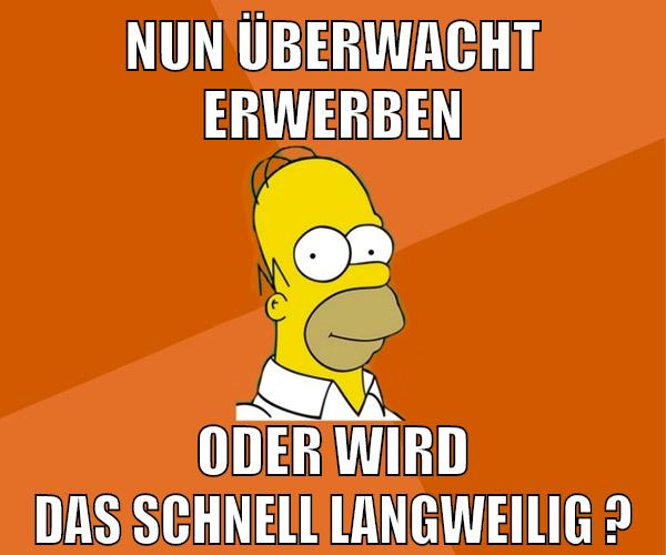 nun überwacht erwerben oder wird das schnell langweilig ?