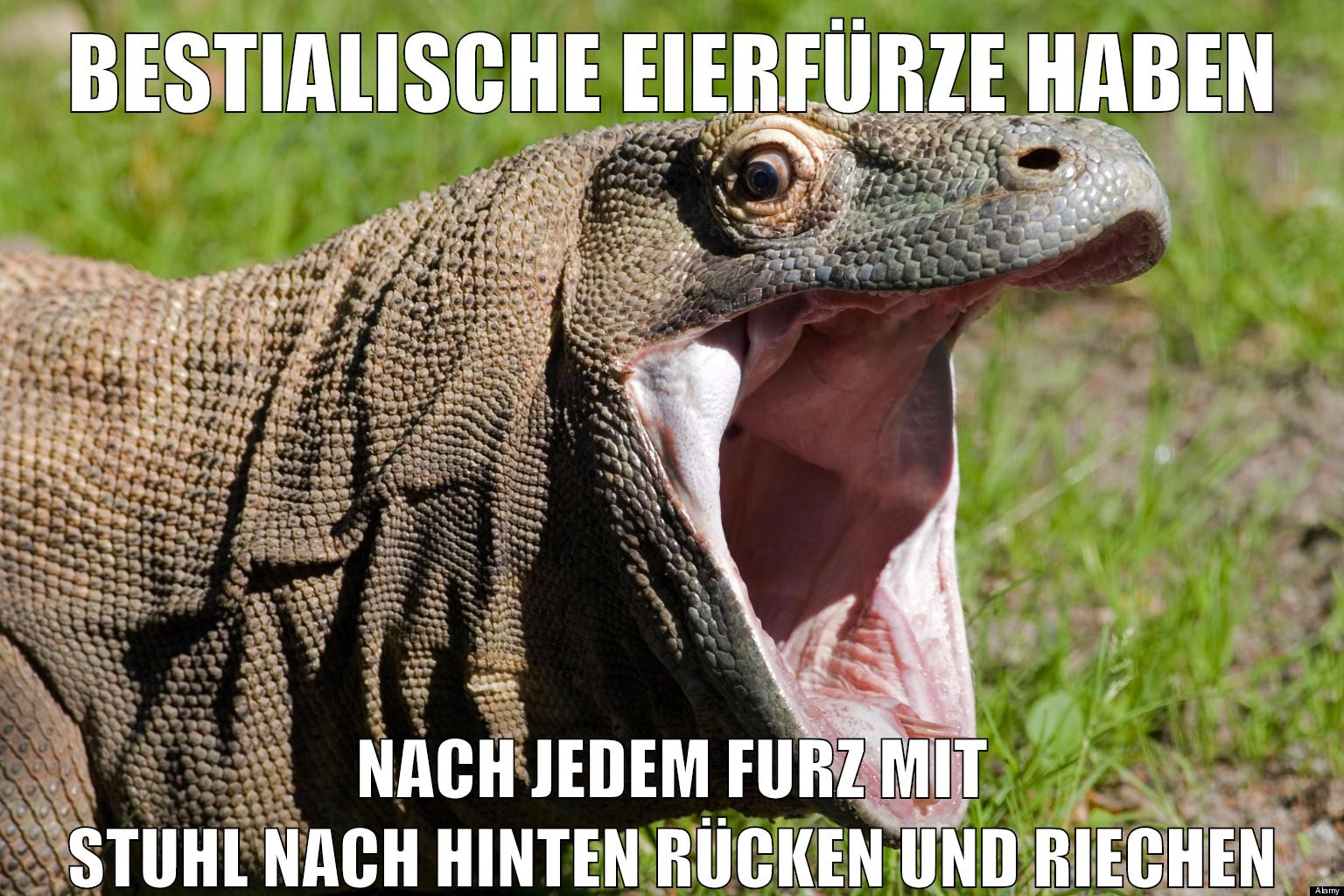 BESTIALISCHE EIERFÜRZE HABEN NACH JEDEM FURZ MIT STUHL NACH HINTEN RÜCKEN UND RIECHEN