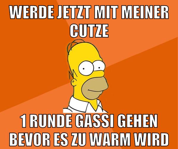 werde jetzt mit meiner cutze 1 runde gassi gehen bevor es zu warm wird