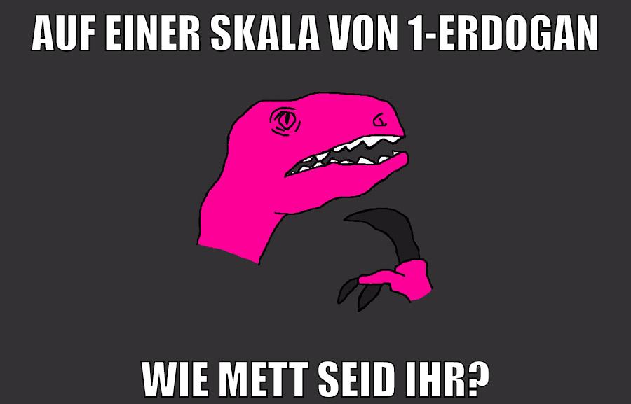 AUF EINER SKALA VON 1-ERDOGAN WIE METT SEID IHR?