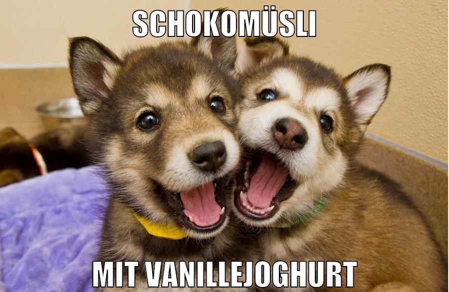 schokomüsli mit vanillejoghurt