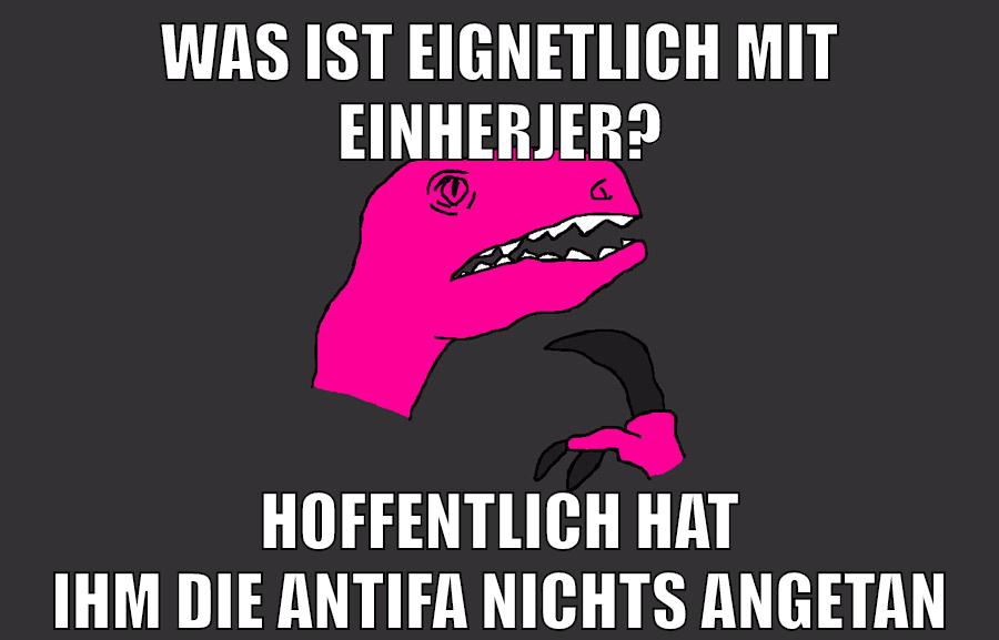 wAS IST EIGNETLICH MIT EINHERJER? HOFFENTLICH HAT IHM DIE ANTIFA NICHTS ANGETAN