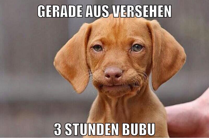 gerade aus versehen 3 stunden bubu