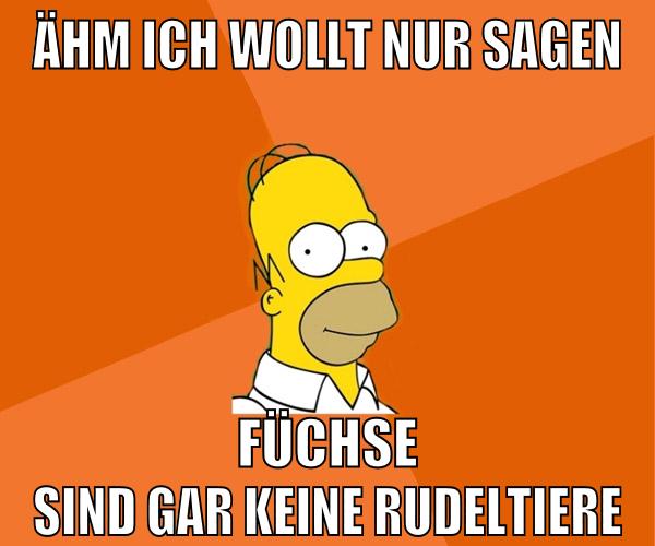 ähm ich wollt nur sagen füchse sind gar keine rudeltiere