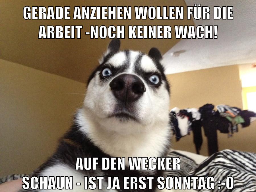 Gerade anziehen wollen für die Arbeit -Noch keiner wach! Auf den Wecker schaun - IST JA ERST SONNTAG :-O