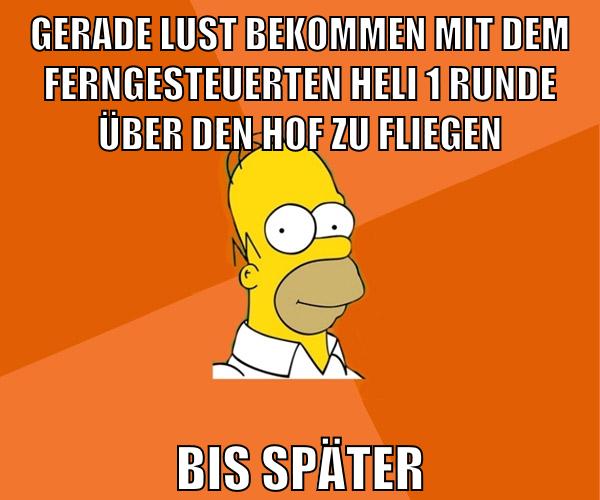 gerade lust bekommen mit dem ferngesteuerten heli 1 runde über den hof zu fliegen bis später