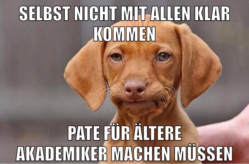 selbst nicht mit allen klar kommen pate für ältere akademiker machen müssen