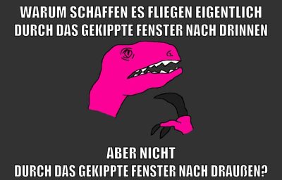 warum schaffen es fliegen eigentlich durch das gekippte fenster nach drinnen aber nicht durch das gekippte fenster nach draußen?