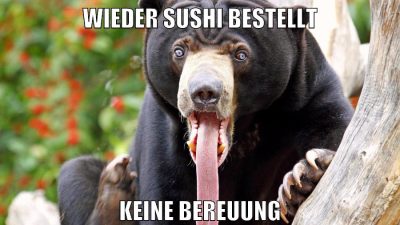 Wieder Sushi bestellt keine bereuung