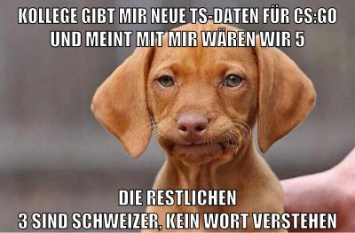 kollege gibt mir neue ts-daten für cs:go und meint mit mir wären wir 5 die restlichen 3 sind schweizer, kein wort verstehen