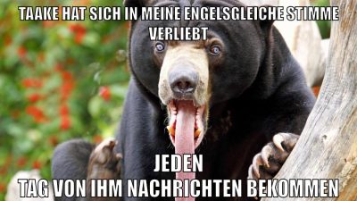 marina und pr0gramm stinken