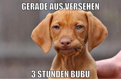 gerade aus versehen 3 stunden bubu