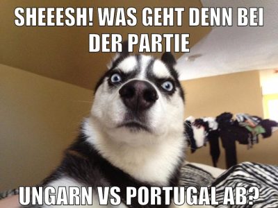 sheeesh! was geht denn bei der partie ungarn vs portugal ab?
