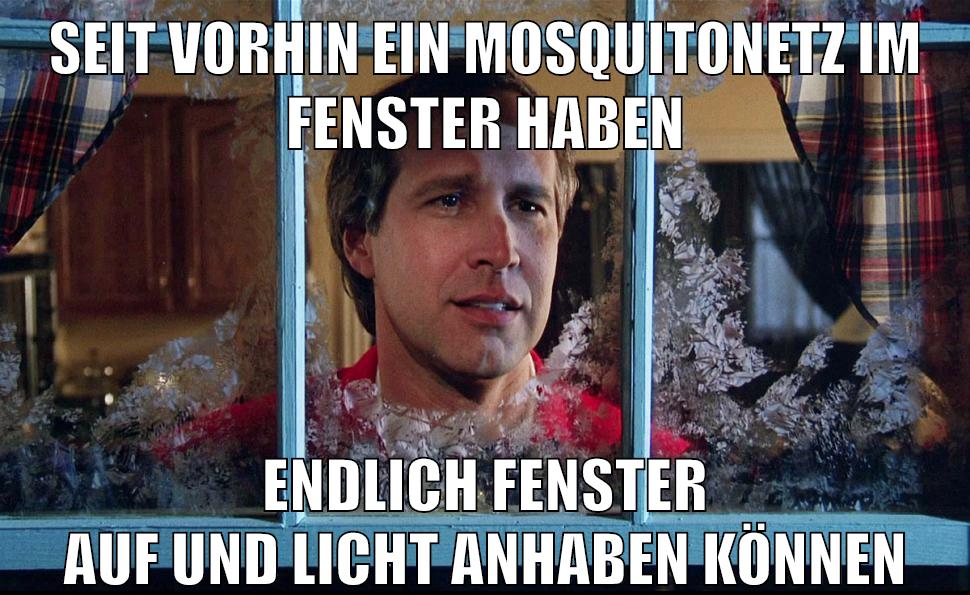 Seit vorhin ein Mosquitonetz im fenster haben endlich fenster auf und licht anhaben können