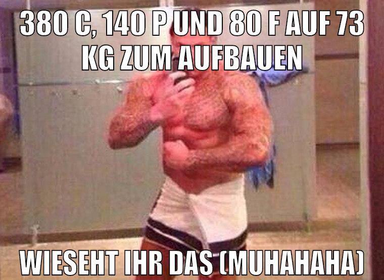380 c, 140 p und 80 f auf 73 kg zum aufbauen wieseht ihr das (muhahaha)