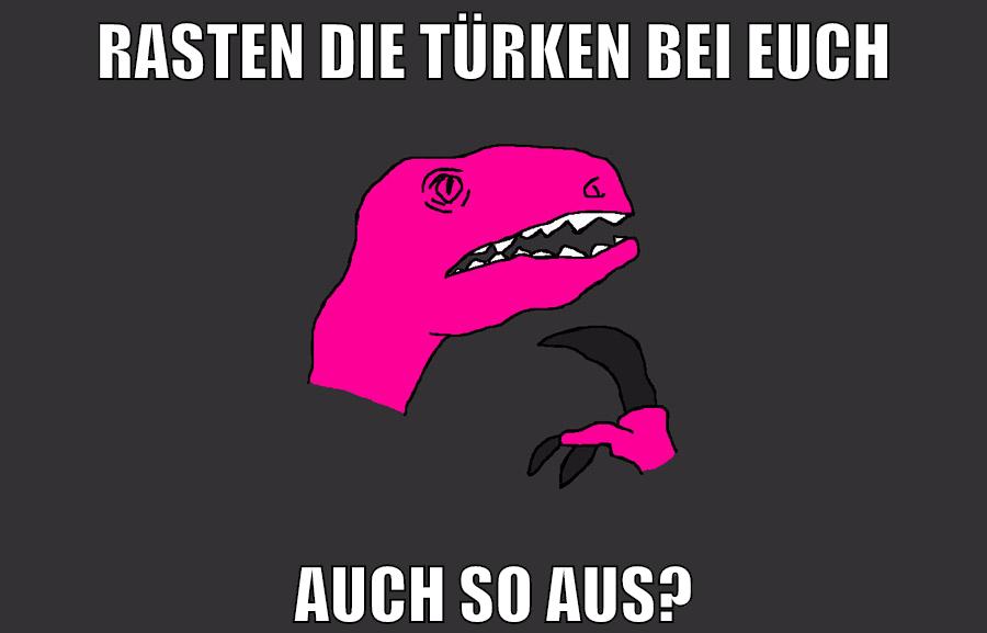 RASTEN DIE TÜRKEN BEI EUCH AUCH SO AUS?