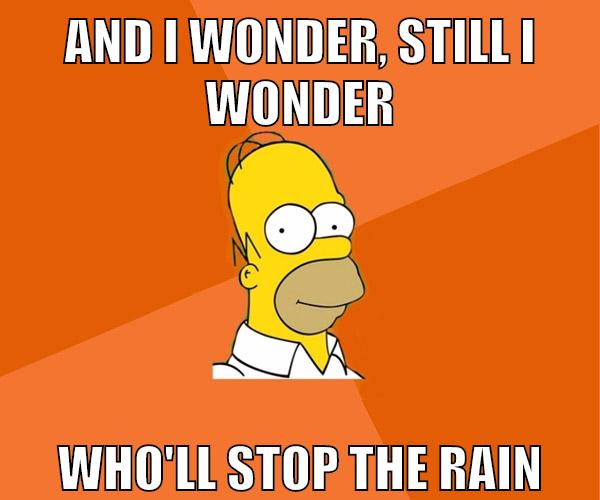 And I wonder, still I wonder who'll stop the rain