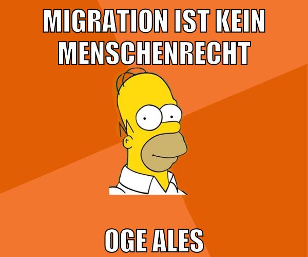 migration ist kein menschenrecht oge ales
