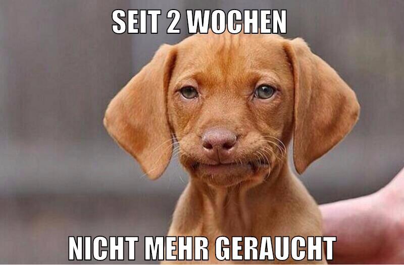 seit 2 wochen nicht mehr geraucht