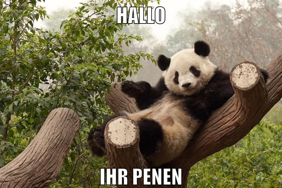 Hallo ihr penen